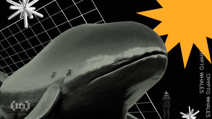 8000-eth-whale-wakes-up-after-eight-years
