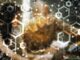 Avail Blockchain Releases Phase 2 of Kate Testnet