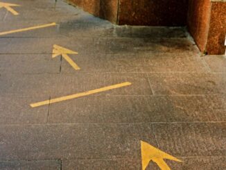 Bankrupt Hedge Fund 3AC's Return as a VC Stirring Up Crypto Community