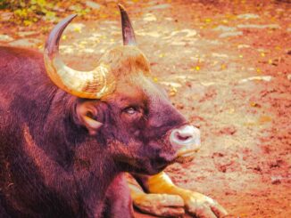 Bitcoin (BTC), Ether (ETH) Short Traders Lose Over $100M as Bullish Sentiment Returns