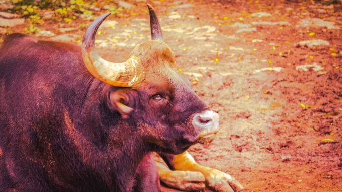 Bitcoin (BTC), Ether (ETH) Short Traders Lose Over $100M as Bullish Sentiment Returns