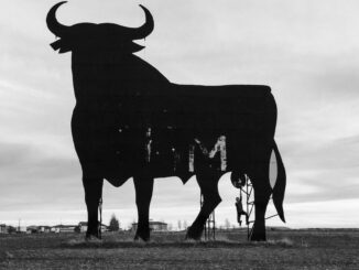 Bitcoin Futures Attract Biggest Bets Since Terra's Collapse