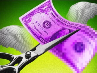 Rug Pull: Chibi Finance Users Lose Over $1M Worth of Crypto