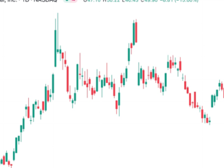 Coinbase (COIN) Shares Slump After SEC Files Suit Against Company
