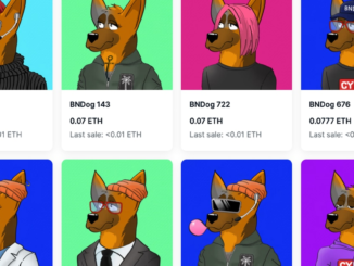 German Intelligence Agency BND Releases Dog-Themed NFT Collection