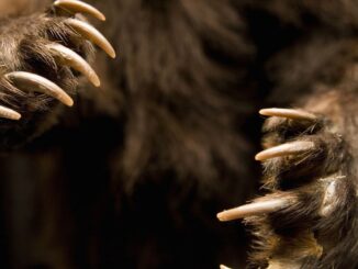 Millions in Polygon’s MATIC Tokens Were Sent to Binance and Coinbase Ahead of 30% Slide, Data Shows