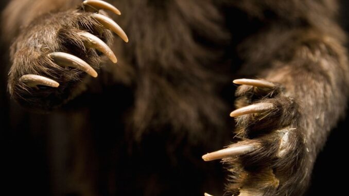 Millions-in-Polygons-MATIC-Tokens-Were-Sent-to-Binance-and.jpg Millions in Polygon’s MATIC Tokens Were Sent to Binance and Coinbase Ahead of 30% Slide, Data Shows