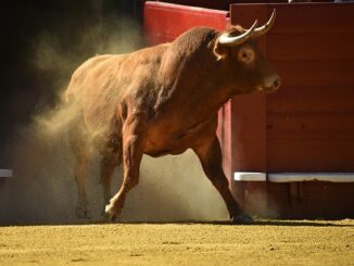 Technical breakout points to rally to $34k