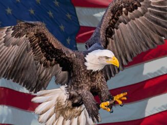 The New Crypto Bill Gary Gensler Doesn’t Want You to Know About