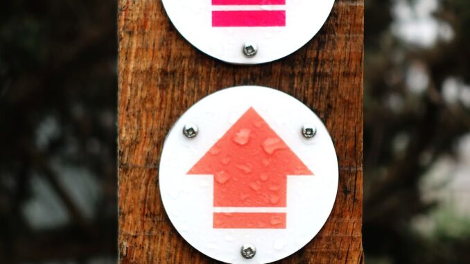 Three-Arrows-Capital-Demands-to-Take-Part-in-Genesis-Bankruptcy.jpg Three Arrows Capital Demands to Take Part in Genesis Bankruptcy Mediation