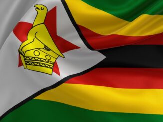 Zimbabwe's Gold-Backed Digital Token Isn’t Enough to Stabilize Local Currency, Economists Say