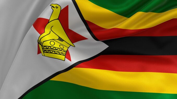 Zimbabwe's Gold-Backed Digital Token Isn’t Enough to Stabilize Local Currency, Economists Say
