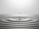 Ripple’s XRP Token Ruling a ‘Milestone Win’ for Crypto Industry, Says J.P. Morgan