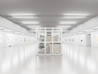 Americana, Backed by Reddit Co-Founder Ohanian, Launches On-Chain Service For High-End Collectibles