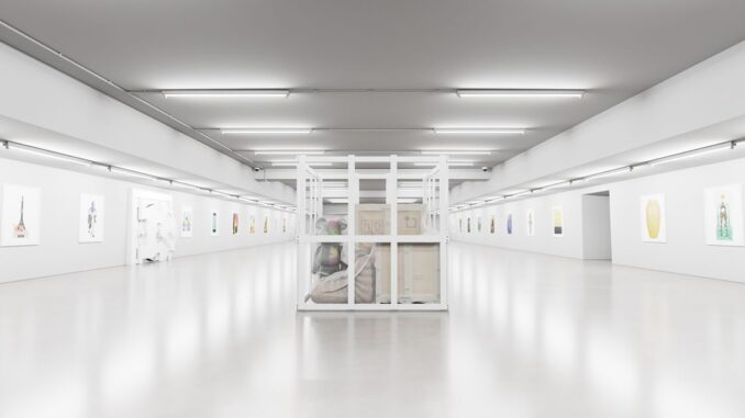 Americana, Backed by Reddit Co-Founder Ohanian, Launches On-Chain Service For High-End Collectibles