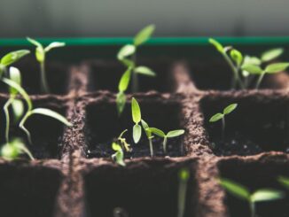 Can Bitcoin (BTC) and the Rest of Crypto Match the Internet and Hit 5B Users?