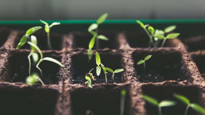 Can Bitcoin (BTC) and the Rest of Crypto Match the Internet and Hit 5B Users?