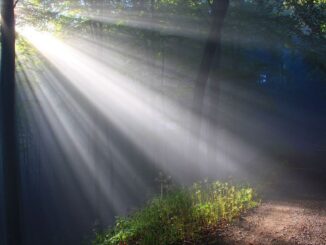 Coinbase, a16z-Backed 'Cash-Like' Crypto Wallet Beam Goes Live