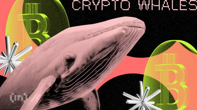 What Crypto Whales Are Buying For Potential Gains in July