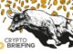 DeFi Protocol Hack Drains $455K from Arcadia Finance