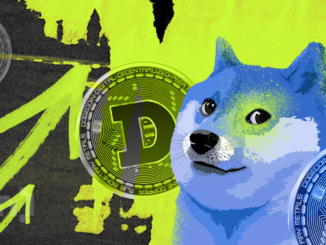 Is $0.08 The Next DOGE price Target?