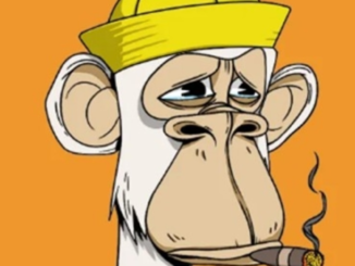 Moroccan Man With Stealing $450K in Bored Ape Yacht Club and Other NFTs in OpenSea Spoofing Scam