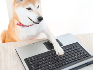 Shiba Inu Whale That Holds 10% of Supply Moves $30M in SHIB Tokens