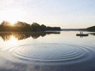 XRP Ruling a ‘Landmark’ Judgment, Weakens SEC's Stance Against Crypto: Bernstein