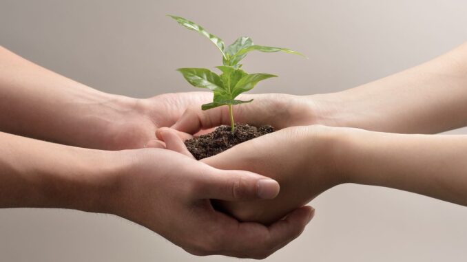 Curve Finance Recoups 73% of Hacked Funds Boosting CRV Sentiment