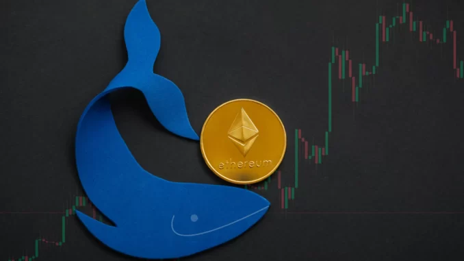 Ethereum ICO Whale Turned $19,000 to $113M
