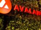 LayerZero, Stargate Propelled 2Q Growth in Avalanche Blockchain: Nansen