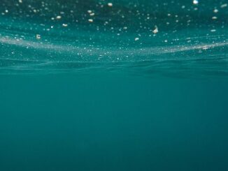 Nearly 90% of Bitcoin Short-Term Holders Are Underwater, Onchain Data Show