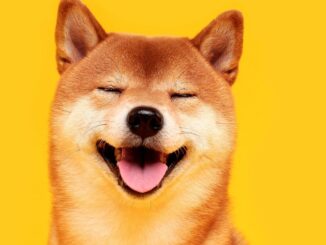 SHIB Gets Major Boost as Shiba Inu's Shibarium Blockchain Goes Live
