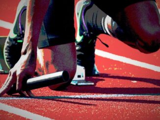 Sei Mainnet is Live After Testnet Sees More Than 7.5M Wallets Created
