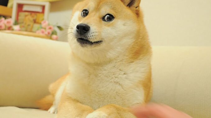 Shiba-Inu-Will-Tie-Digital-Identity-to-All-Applications-in.jpg Shiba Inu Will Tie Digital Identity to All Applications in a Bid to Move Away From Meme Coin Status