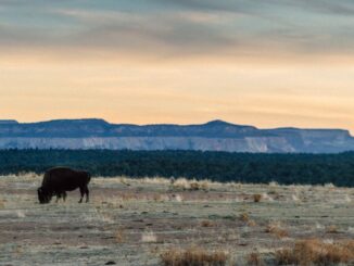 The Secular Investment Case for Bitcoin and Crypto Adoption Remains Intact: Coinbase