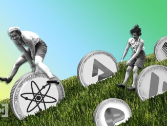 Altcoin Rebound on the Horizon: Worst May Be Behind us, But the Best Is Yet to Come