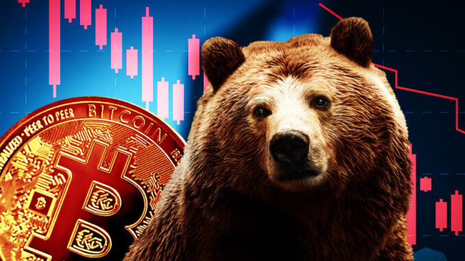 Bitcoin bear