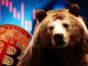 Bitcoin bear