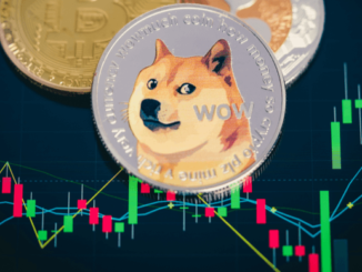 Cryptocurrency price update: Dogecoin, Polkadot