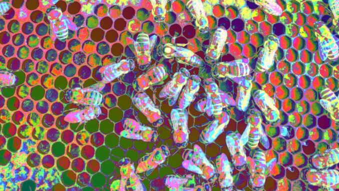 Ending the Staking Trade-Off Can Save DeFi Communities