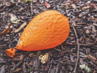 Ethereum’s Holesky Testnet Fails To Launch, in Rare Tech Misstep for the Blockchain