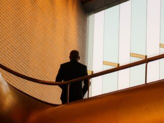 Exploring Multi-Asset Crypto Portfolios Beyond Bitcoin