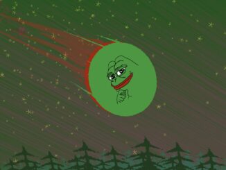 ROE, QUBE, DOMI Are Gaining Places On Investors’ Lists of Coins