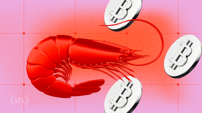 Shrimps Accumulate Bitcoin (BTC) and Get Smarter: Does Crypto Education Work?