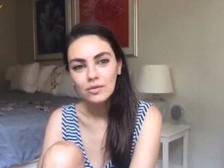 The Inanity of the SEC 'Stoner Cat' Action