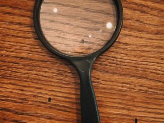 As Fed Rate Pause Comes into Play Analysts Hint That Bitcoin (BTC) May Repeat Its 2019 Performance