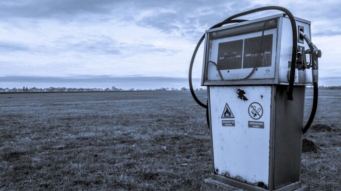 BITCOIN, SPX, PEPE Jump 40% as Bitcoin Pump Leads to Meme Coin Revival