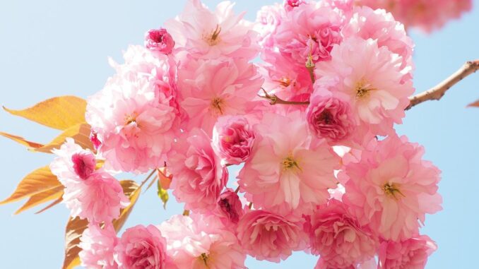 BTC Price Shows Crypto Winter May Be Over: Morgan Stanley Wealth Management