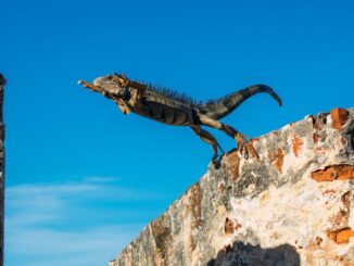 Bitcoin (BTC), Ether (ETH), Bitcoin SV (BSV) Prices Bumped on ETF Hopes